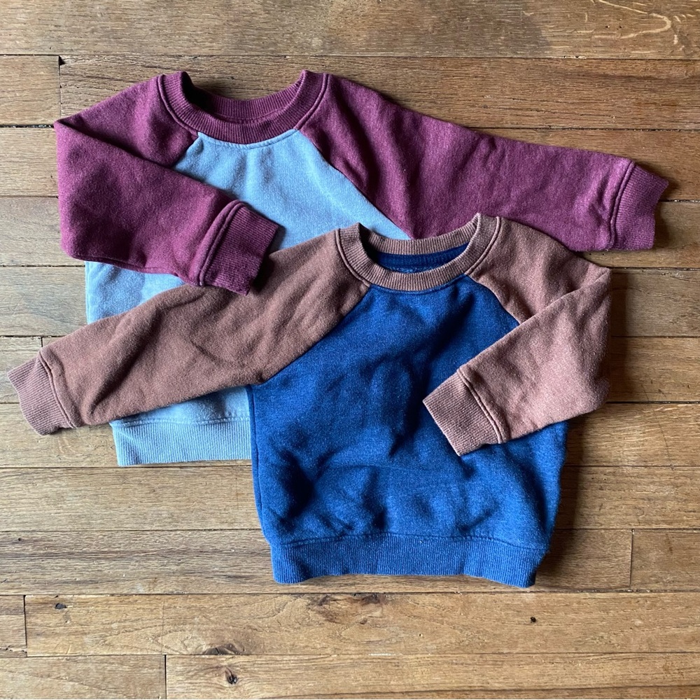 Baby Toddler Sweatshirt Bundle - 12M
